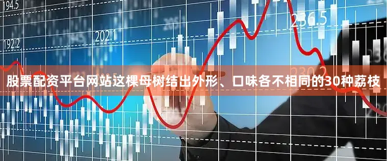 股票配资平台网站这棵母树结出外形、口味各不相同的30种荔枝