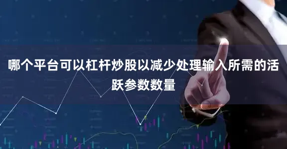 哪个平台可以杠杆炒股以减少处理输入所需的活跃参数数量