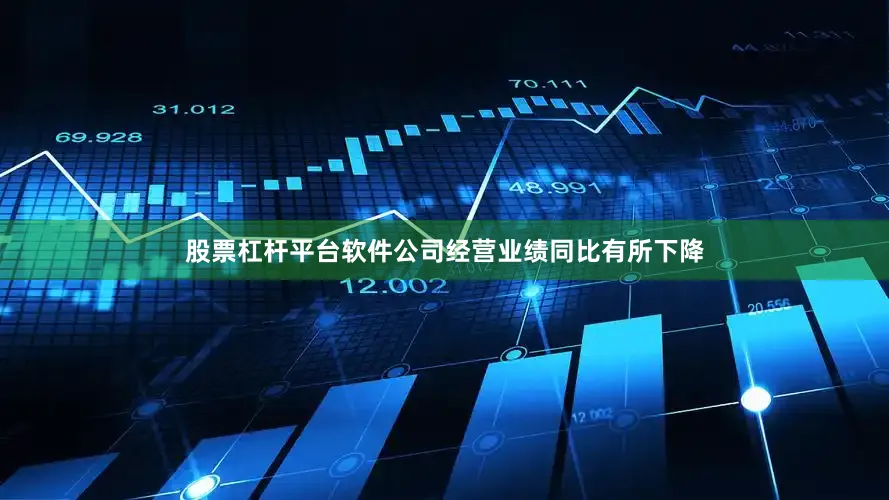股票杠杆平台软件公司经营业绩同比有所下降